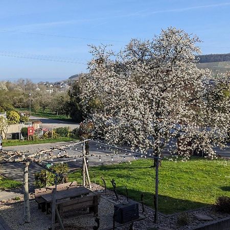 Apartamento Weingut Harald Ludwig Osann-Monzel Exterior foto