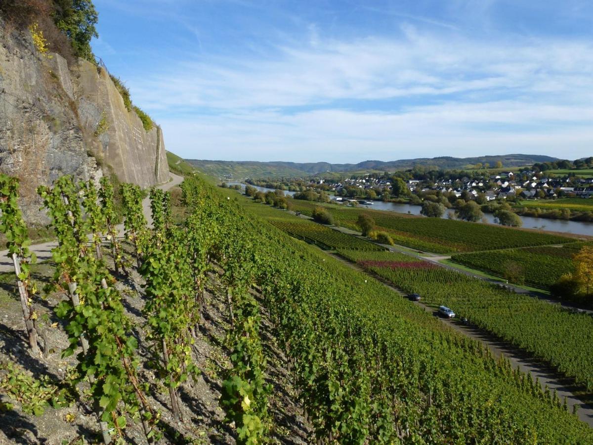Apartamento Weingut Harald Ludwig Osann-Monzel Exterior foto