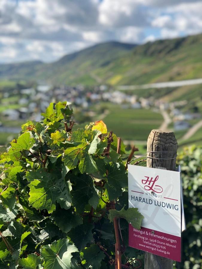 Apartamento Weingut Harald Ludwig Osann-Monzel Exterior foto