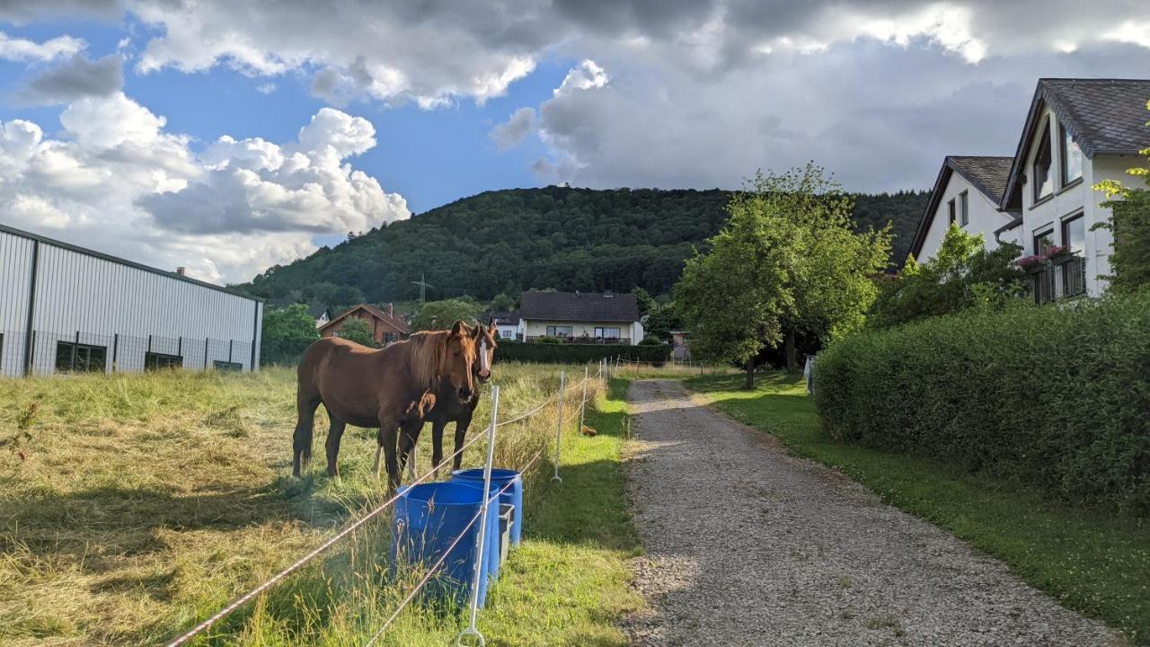 Apartamento Weingut Harald Ludwig Osann-Monzel Exterior foto