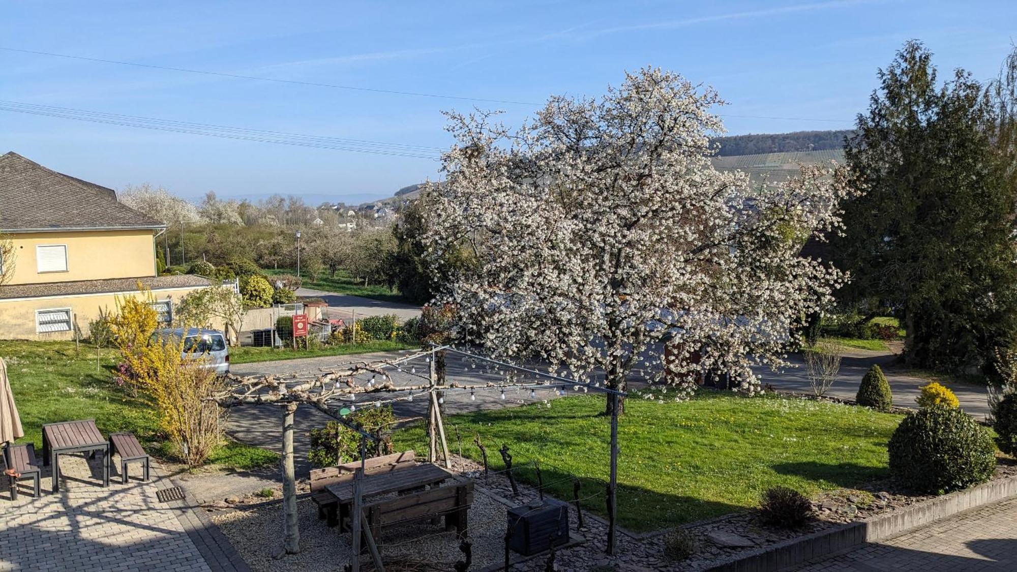 Apartamento Weingut Harald Ludwig Osann-Monzel Exterior foto